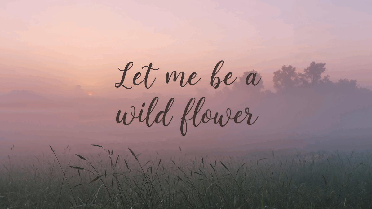 Makna lagu Wildflower — bunga liar bercahaya di langit senja, simbol “flowerwork” RM BTS