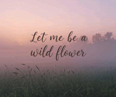 Makna lagu Wildflower — bunga liar bercahaya di langit senja, simbol “flowerwork” RM BTS